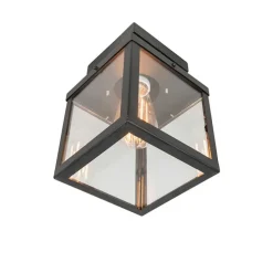 Industriële buitenplafondlamp zwart 1-lichts - Rotterdam