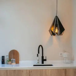 Industriële hanglamp zwart met mesh - Carcass