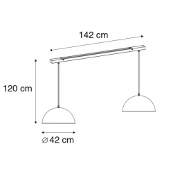 Industriële hanglamp zwart met goud 2-lichts - Magnax