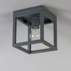 Industriële plafondlamp donkergrijs - Cage