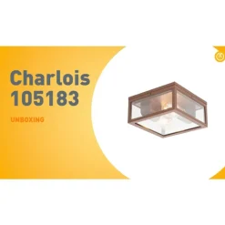 Industriële plafondlamp roestbruin IP442-lichts - Charlois