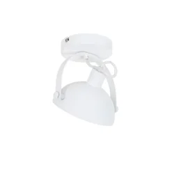 Industriële plafondlamp wit met zilver 15 cm verstelbaar - Magnax