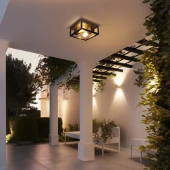 Industriële plafondlamp zwart IP44 2-lichts - Charlois