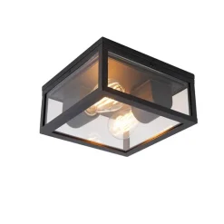 Industriële plafondlamp zwart IP44 2-lichts - Charlois