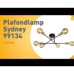 Industriële plafondlamp zwart met goud 6-lichts - Sydney
