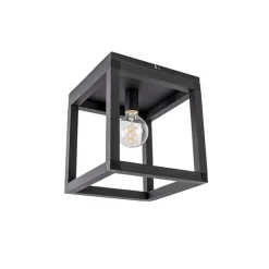 Industriële plafondlamp zwart - Big Cage