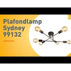 Industriële plafondlamp zwart 6-lichts - Sydney