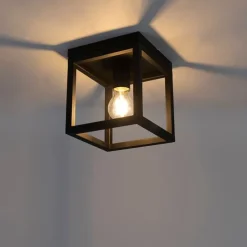 Industriële plafondlamp zwart staal - Cage
