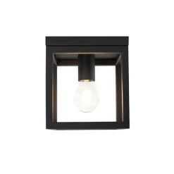 Industriële plafondlamp zwart staal - Cage