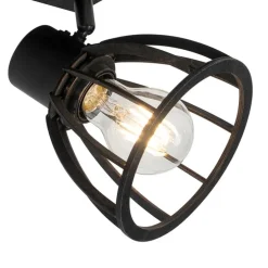 Industriële plafondlamp zwart 2-lichts - Fotu