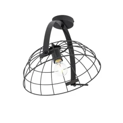Industriële plafondlamp zwart 35 cm verstelbaar - Hanze