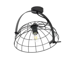 Industriële plafondlamp zwart 35 cm verstelbaar - Hanze