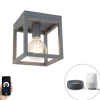 Industriële smart plafondlamp donkergrijs incl. Wifi G95 - Cage