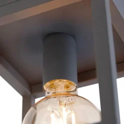 Industriële smart plafondlamp donkergrijs incl. Wifi G95 - Cage