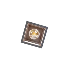 Industriële smart plafondlamp donkergrijs incl. Wifi G95 - Cage