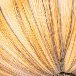 Japandi plafondlamp beige 60cm 5-lichts - Plu