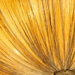 Japandi plafondlamp goud 60cm 5-lichts - Plu