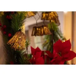 Kerst buiten lichtsnoer 3,3m incl. LED 10-lichts - Carina