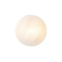 Klassieke plafondlamp zwart met opaal glas 30 cm IP44 - Nohmi