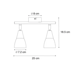 Klassieke plafondspot goud met mat glas 2-lichts - Madi
