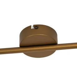 Klassieke plafondspot goud met mat glas 2-lichts - Madi