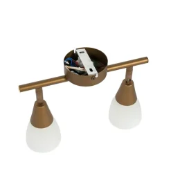 Klassieke plafondspot goud met mat glas 2-lichts - Madi