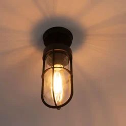 Landelijke buitenplafondlamp zwart met glas IP44 - Elza