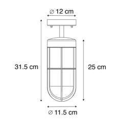 Landelijke buitenplafondlamp zwart met glas IP44 - Elza