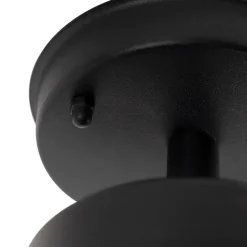 Landelijke buitenplafondlamp zwart met glas IP44 - Elza