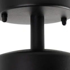 Landelijke buitenplafondlamp zwart met glas IP44 - Elza