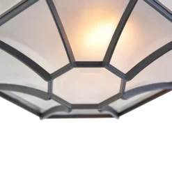 Landelijke plafondlamp donkergrijs 26,5 IP44 - Bri