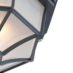 Landelijke plafondlamp donkergrijs 26,5 IP44 - Bri