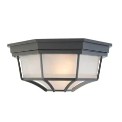 Landelijke plafondlamp donkergrijs 26,5 IP44 - Bri