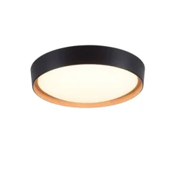 Landelijke plafondlamp zwart incl. LED 3-staps dimbaar - Jure