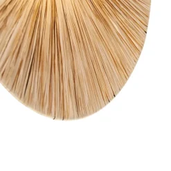 Landelijke wandlamp zwart met touw 60 cm - Leia