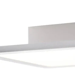 LED paneel staal 80 cm incl. LED met afstandsbediening - Live