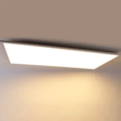 LED paneel staal 120 cm incl. LED met afstandsbediening - Liv