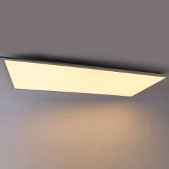 LED paneel staal 120 cm incl. LED met afstandsbediening - Liv