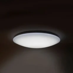 LED plafondlamp 60cm stereffect met afstandsbediening - Extrema