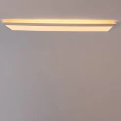 Modern LED paneel wit 58x20 cm incl. LED dim to warm - Billie