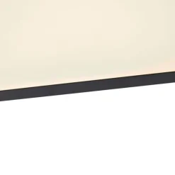 Modern LED paneel zwart 120 cm incl. LED - Liv