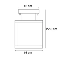 Moderne buiten plafondlamp staal - Rotterdam