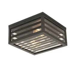 Moderne buiten plafondlamp zwart glas 2-lichts IP44 - Reims