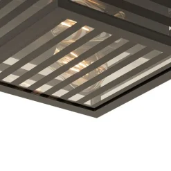 Moderne buiten plafondlamp zwart glas 2-lichts IP44 - Reims