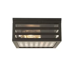Moderne buiten plafondlamp zwart glas 2-lichts IP44 - Reims