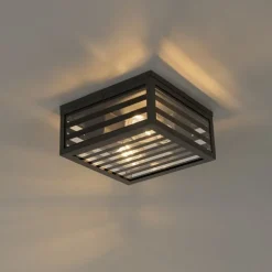 Moderne buiten plafondlamp zwart glas 2-lichts IP44 - Reims