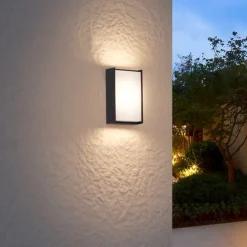 Moderne buiten wandlamp zwart incl. LED IP65 - Packet