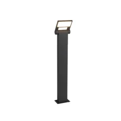 Moderne buitenpaaltje antraciet 60 cm incl. LED IP54 - Zane