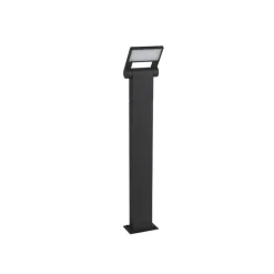 Moderne buitenpaaltje antraciet 60 cm incl. LED IP54 - Zane