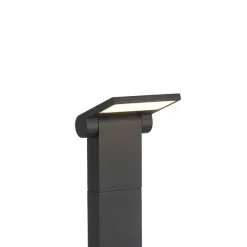 Moderne buitenpaaltje antraciet 60 cm incl. LED IP54 - Zane